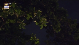 Bandish S2 - Episode 06 - 2nd June 2023